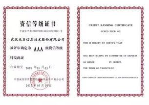 光谷信息2017 聚前行,夢遠航 信息系統(tǒng)集成服務